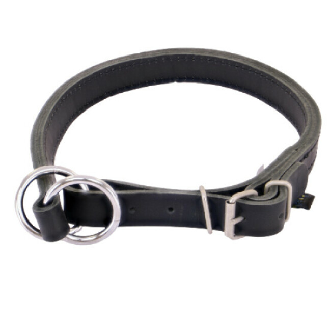 Collier en cuir pour chien
