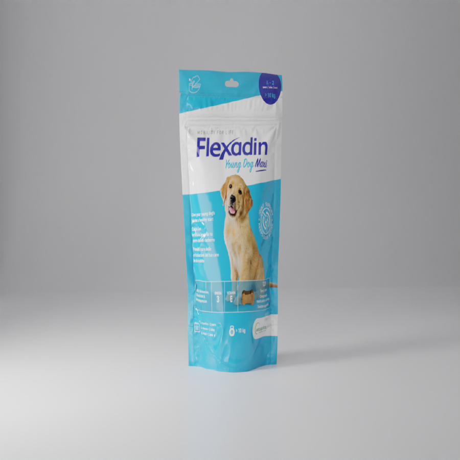 Vetoquinol Flexadin Young Maxi Chondroprotector para filhotes