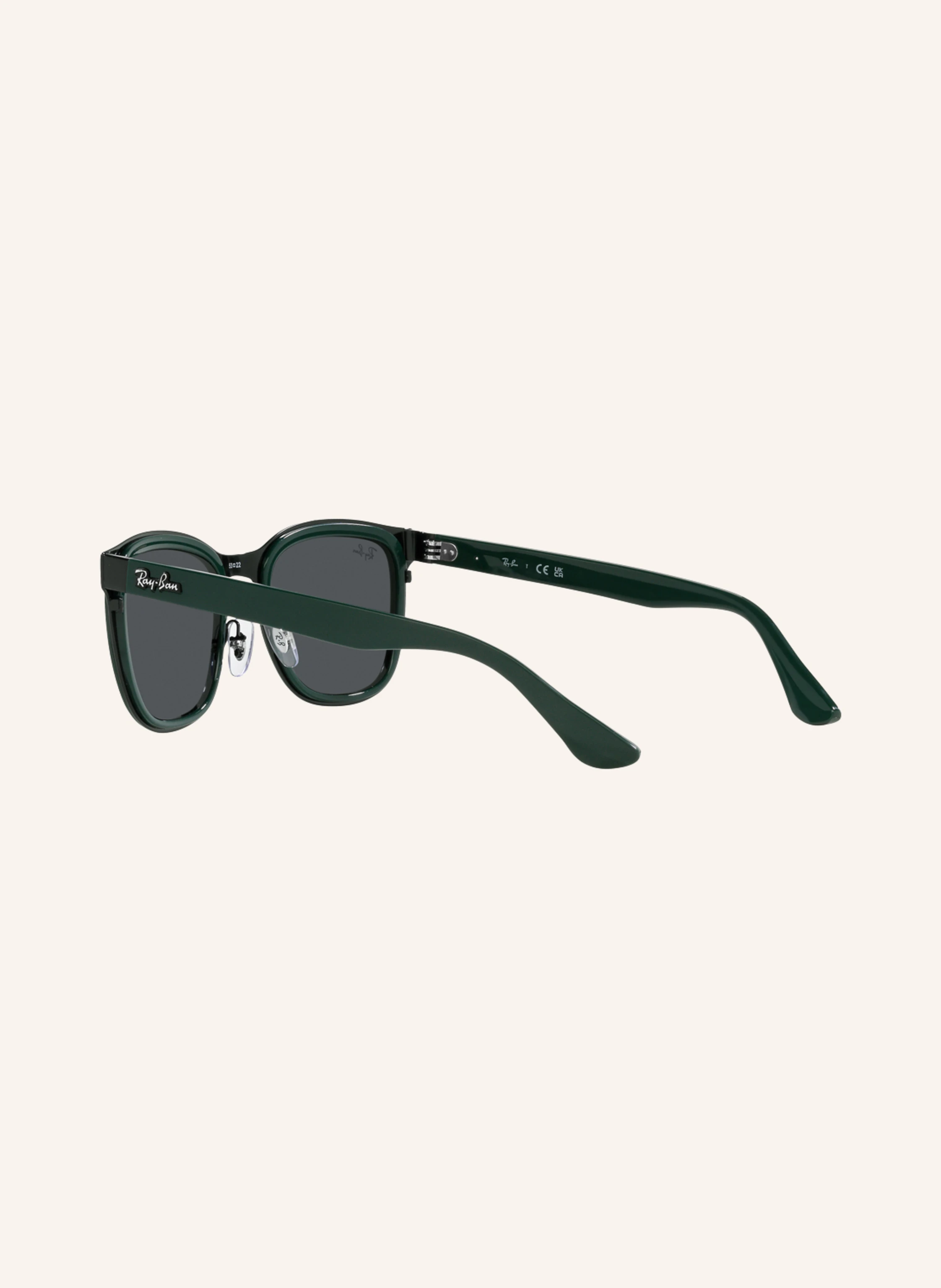 Ray-Ban Sonnenbrille RB3709