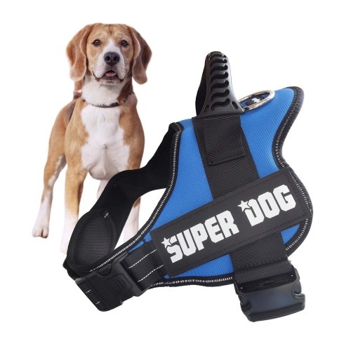 Coleira para cães Edipets ajustável e anti-puxão azul