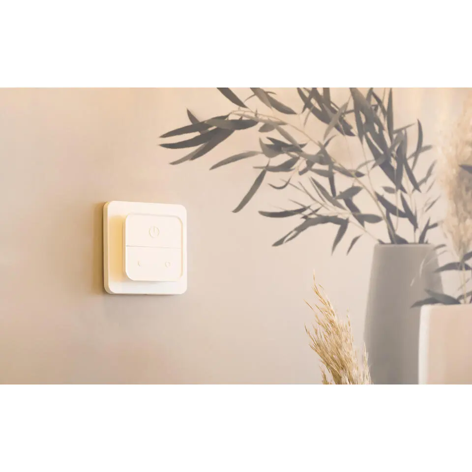 EGLO switch-z - slimme accessoire - afstandsbediening/wandschakelaar