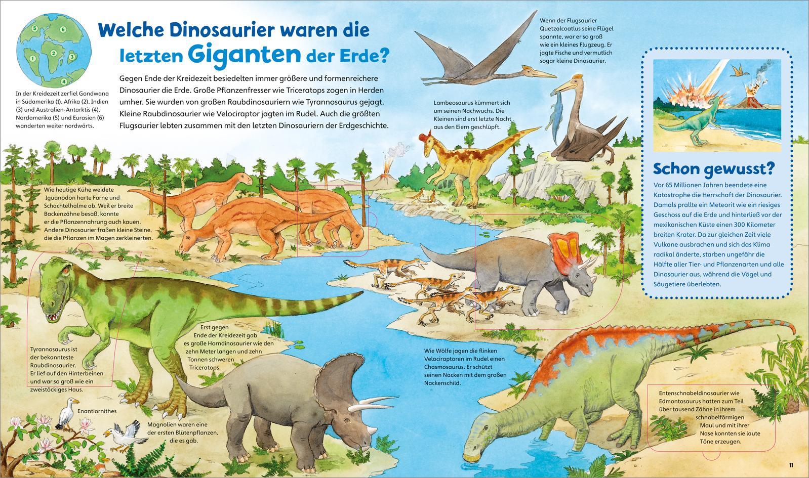 Dinosaurier und Tiere der Urzeit / Was ist was junior Bd.30