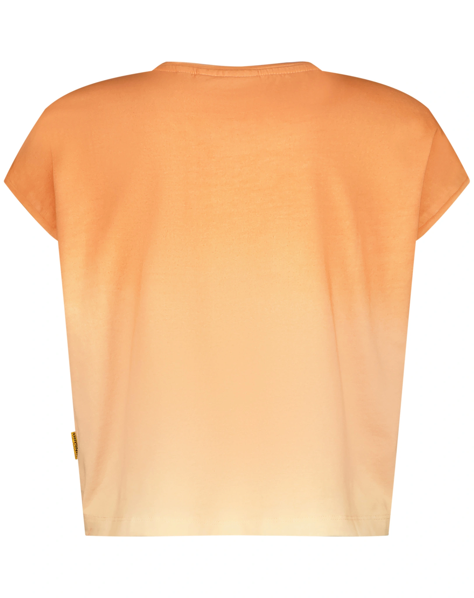 T-Shirt HAIKE in baked brown