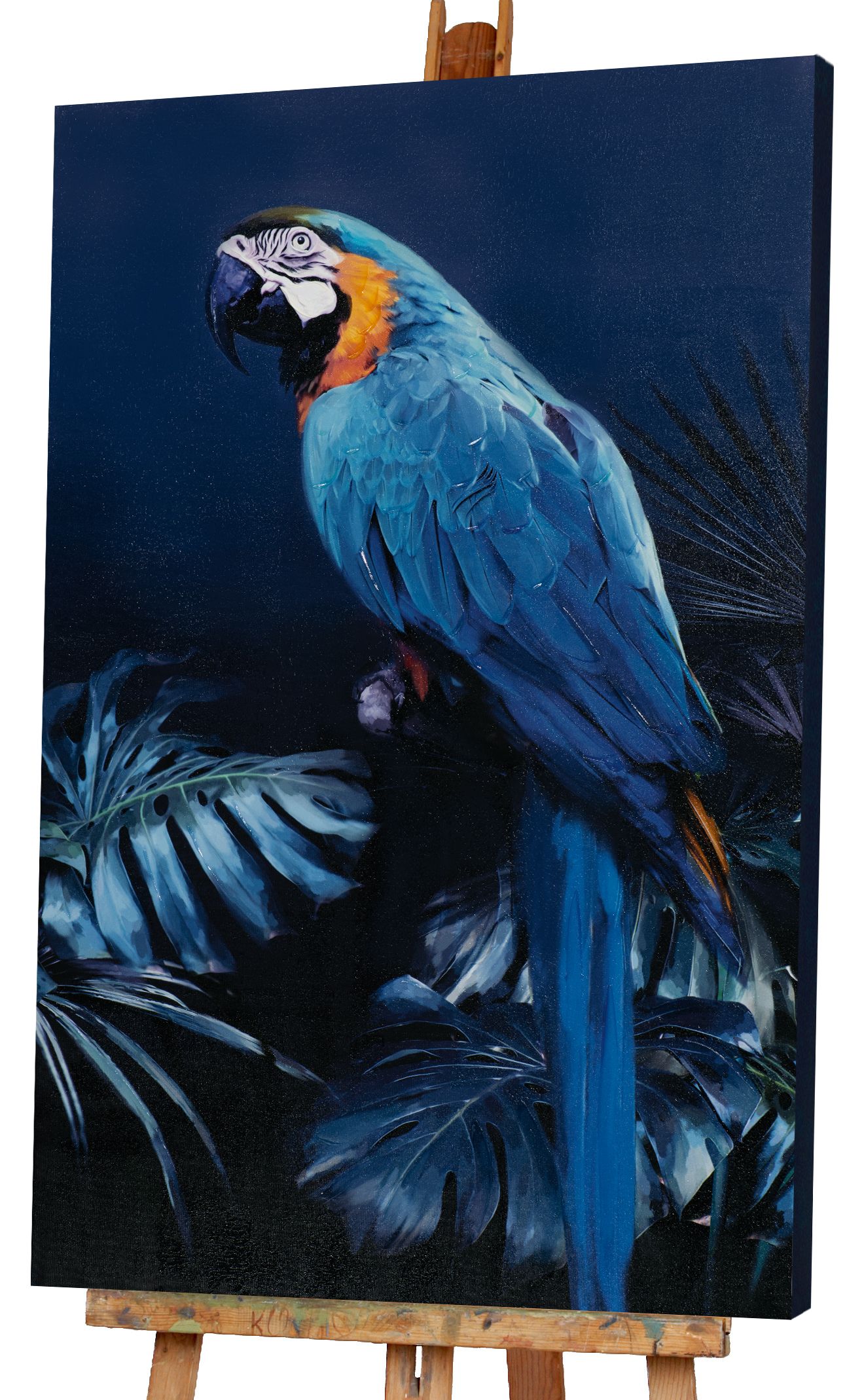Keilrahmenbild PAPAGEI IN BLAU