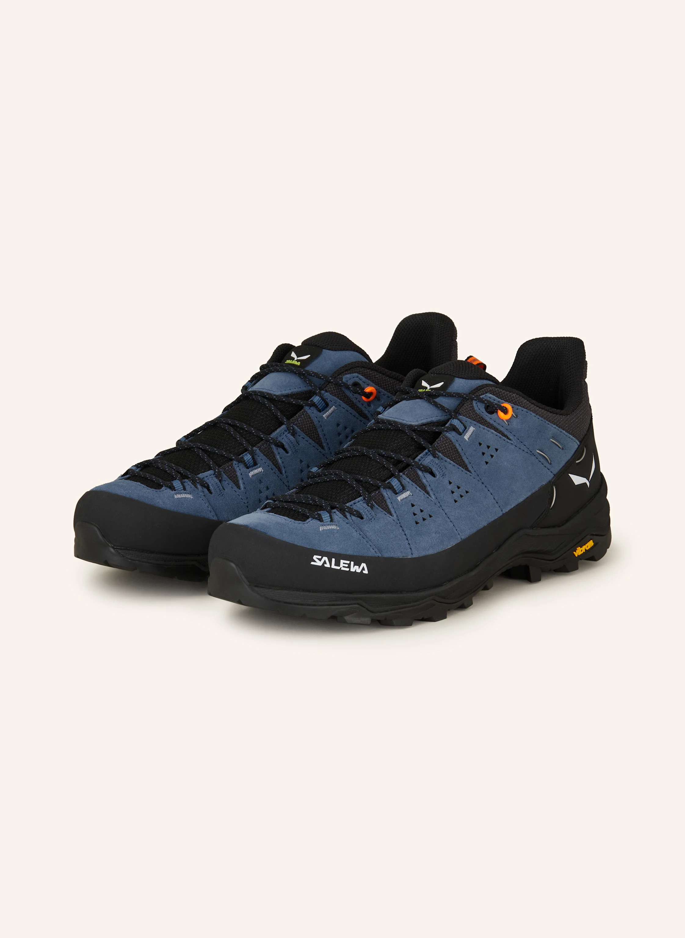 SALEWA Wanderschuhe ALP TRAINER 2
