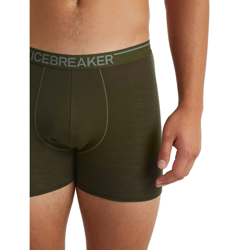 Icebreaker Herren Anatomica Weekdays Boxer