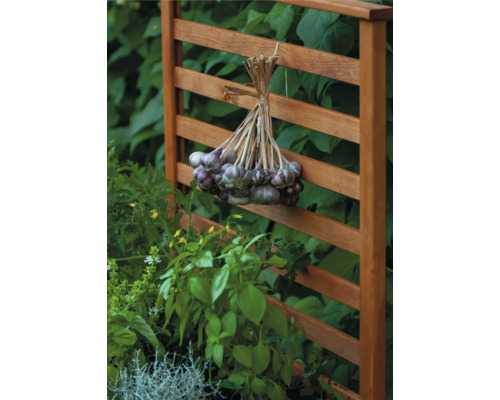 Trellisbevestiging dobar Kubus 78 x 5 x 78 cm lichtbruin