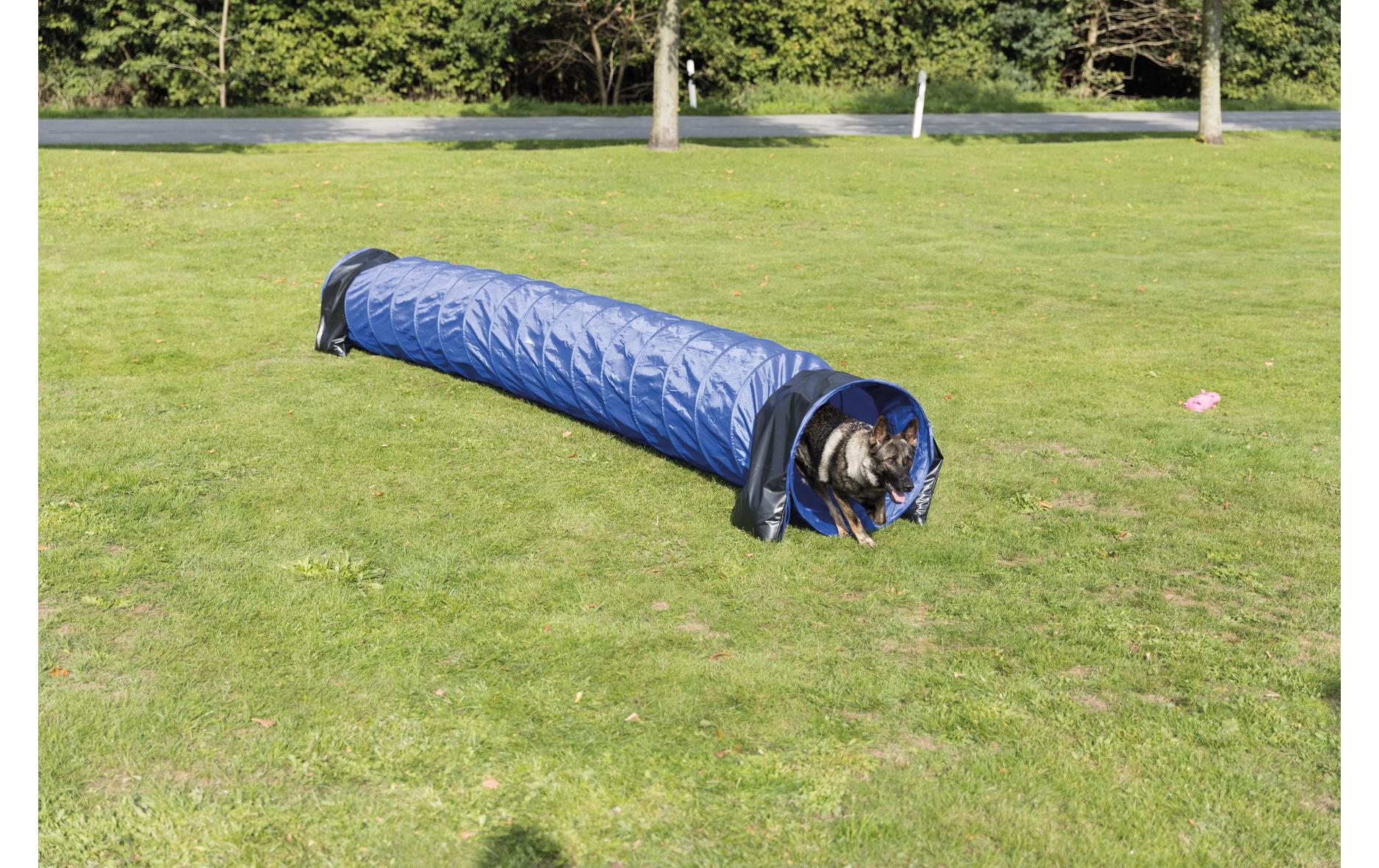 Agility Basic Tunnel Dog ActivityAgility-Zubehör