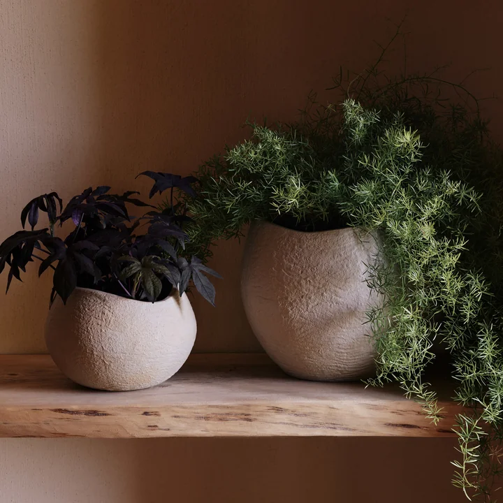 Audo - Plantas Pflanzentopf H 24 cm, elfenbein