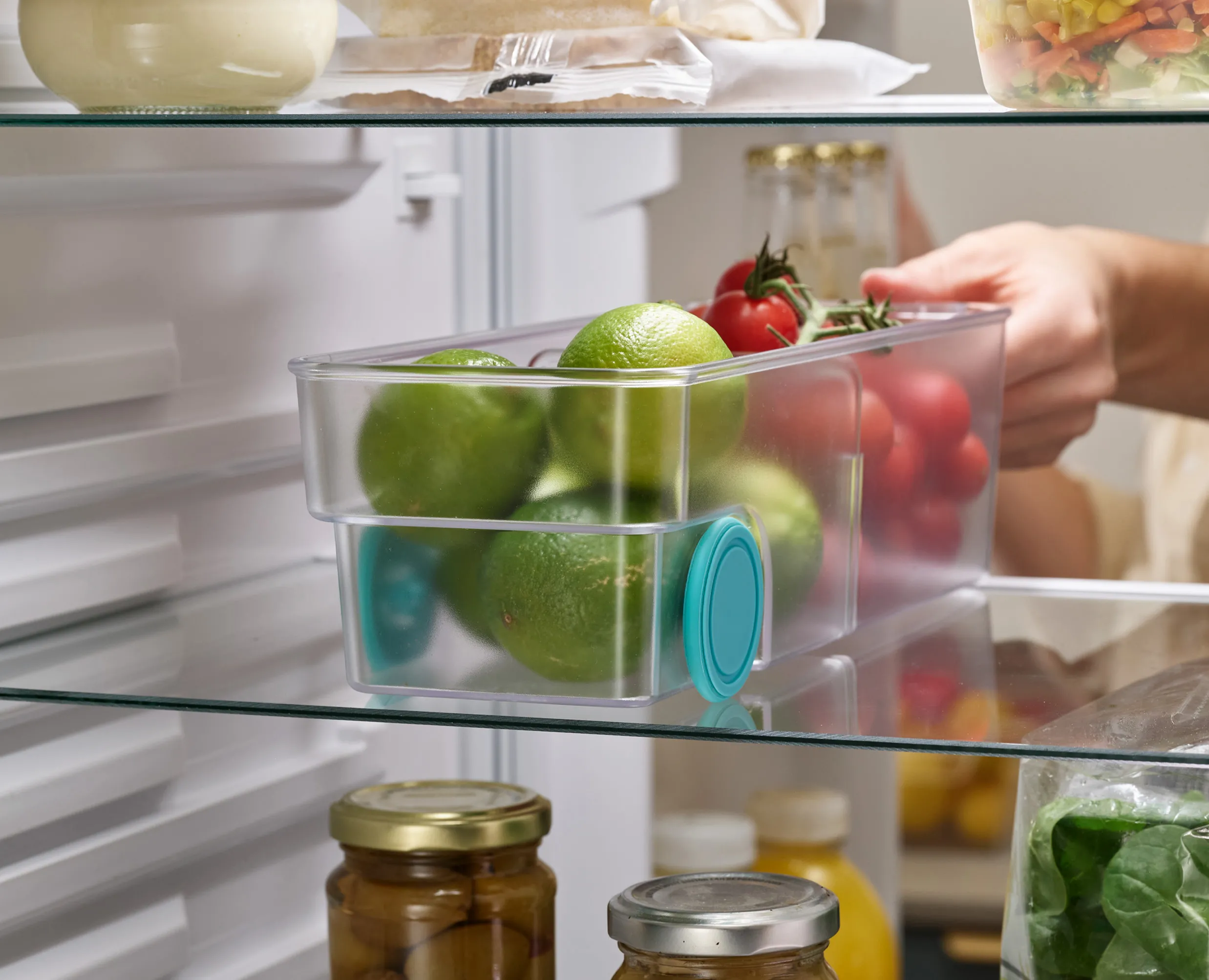 Joseph Joseph FridgeStore Opbevaringskasse