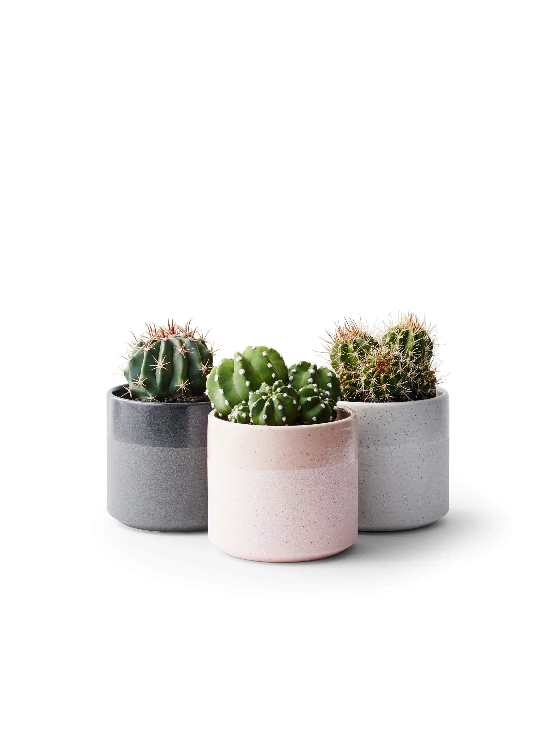 Plantagen Potte Calla Ø15 cm