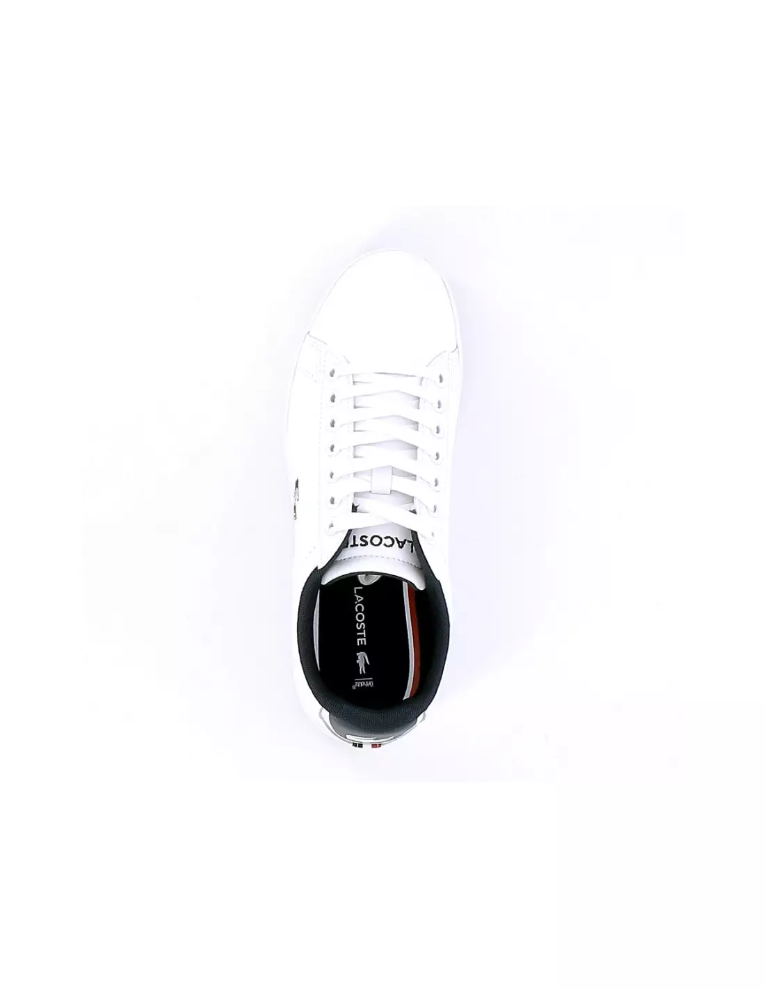LACOSTE CARNABY EVO - Baskets Blancnavy