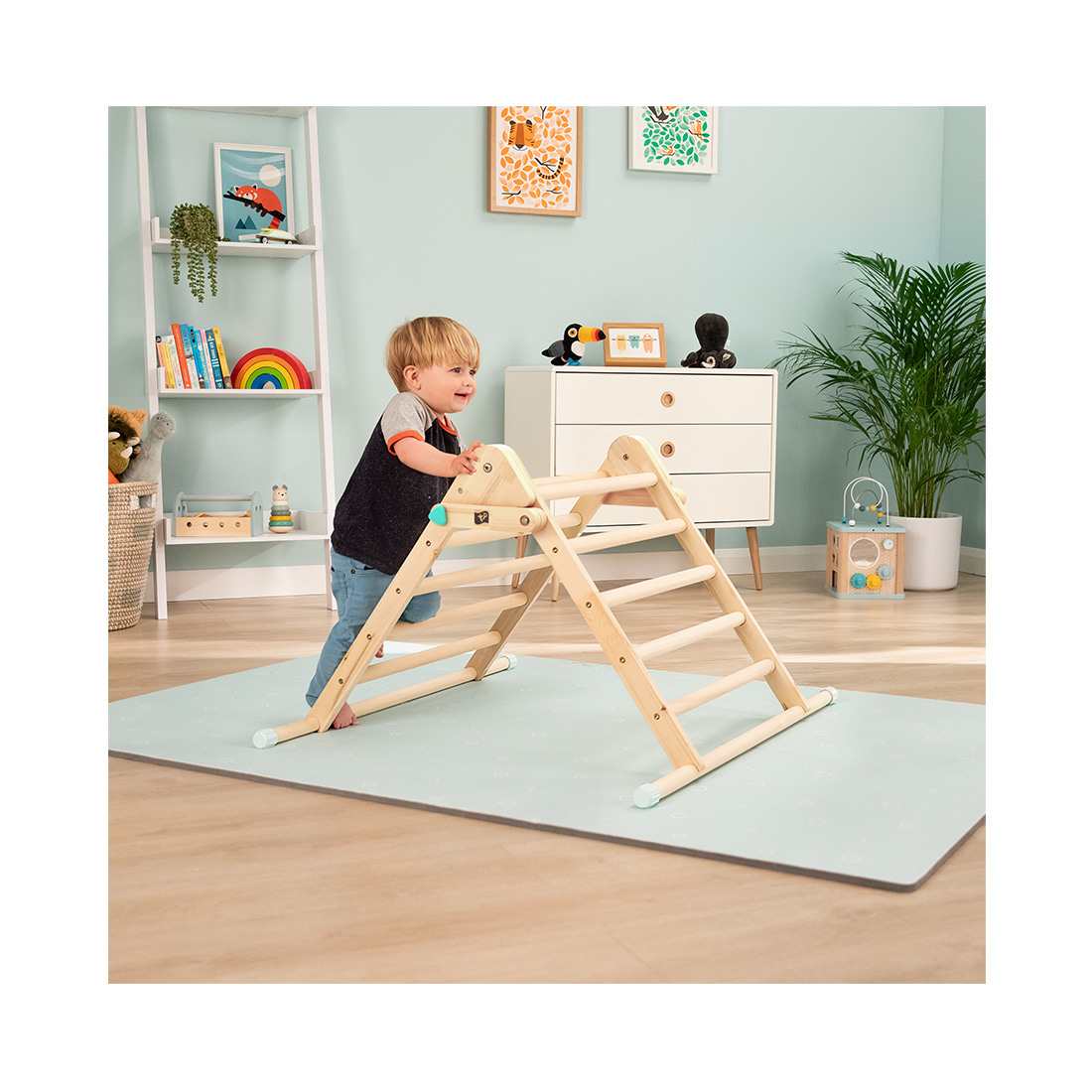 TP Toys Kletterdreieck