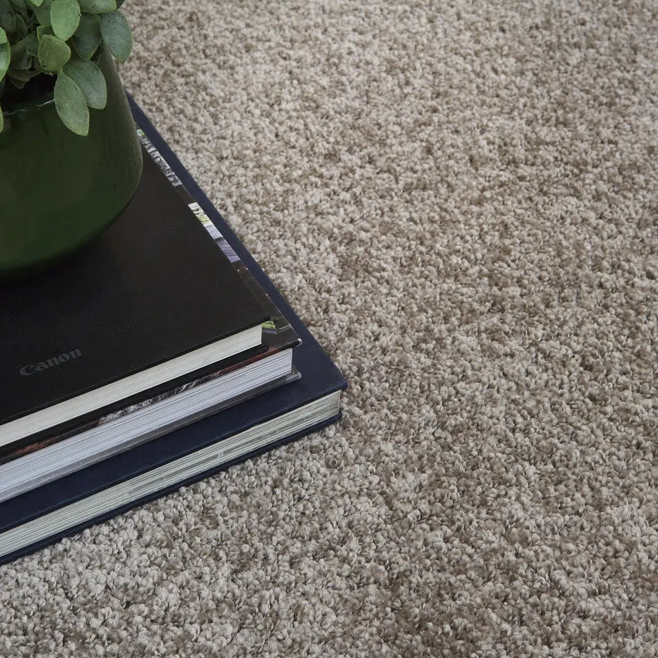 Carpet Studio Ohio Vloerkleed - Beige - 160x230cm