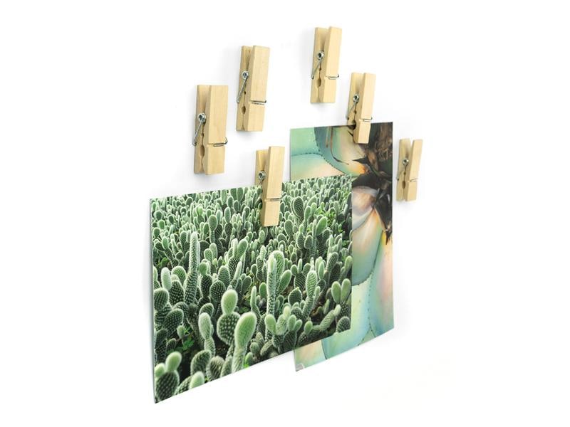 Trendform Haftmagnet Holzklammer 6er Set, Braun Clip zum Aufhängen von Fotos oder Erinnerungen