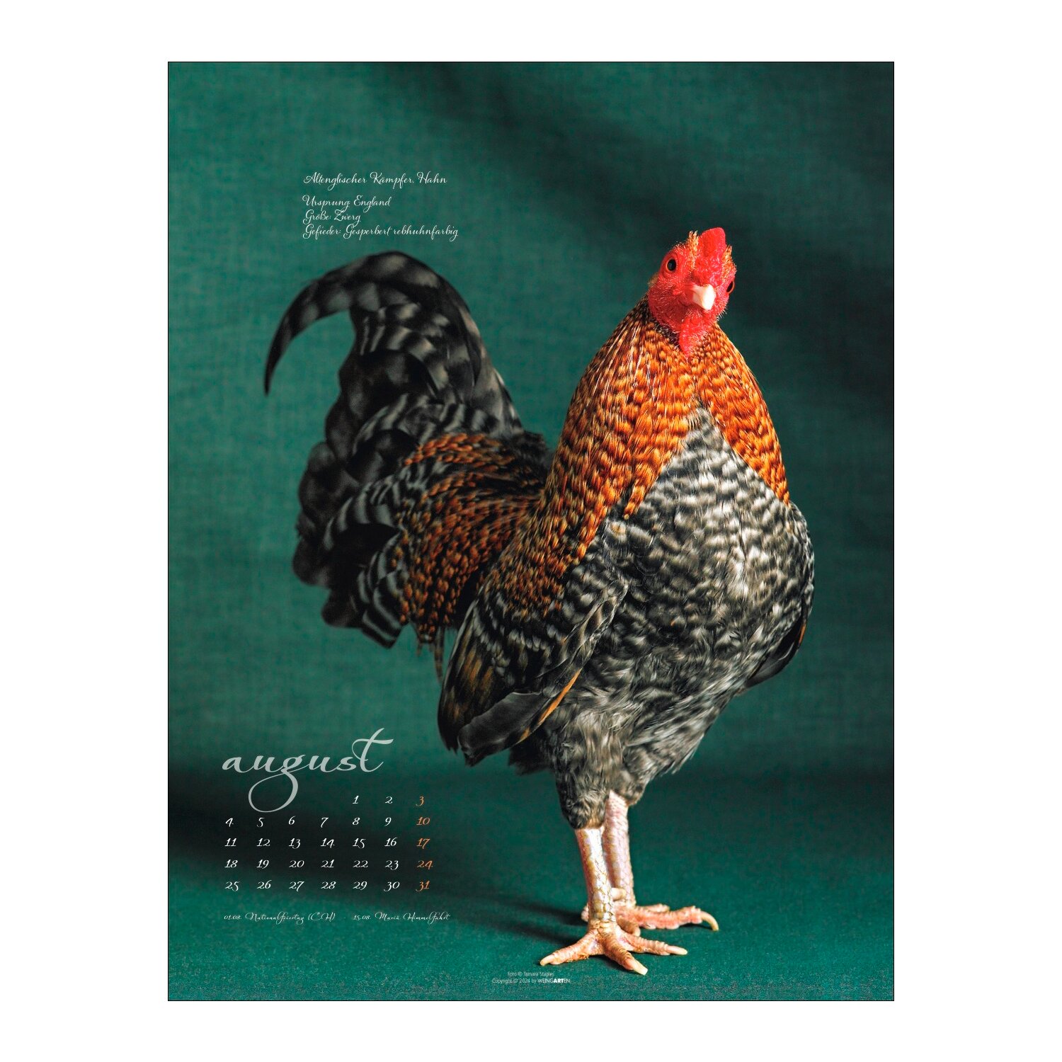 Kalender 2025 Pretty Chicks  - 2025