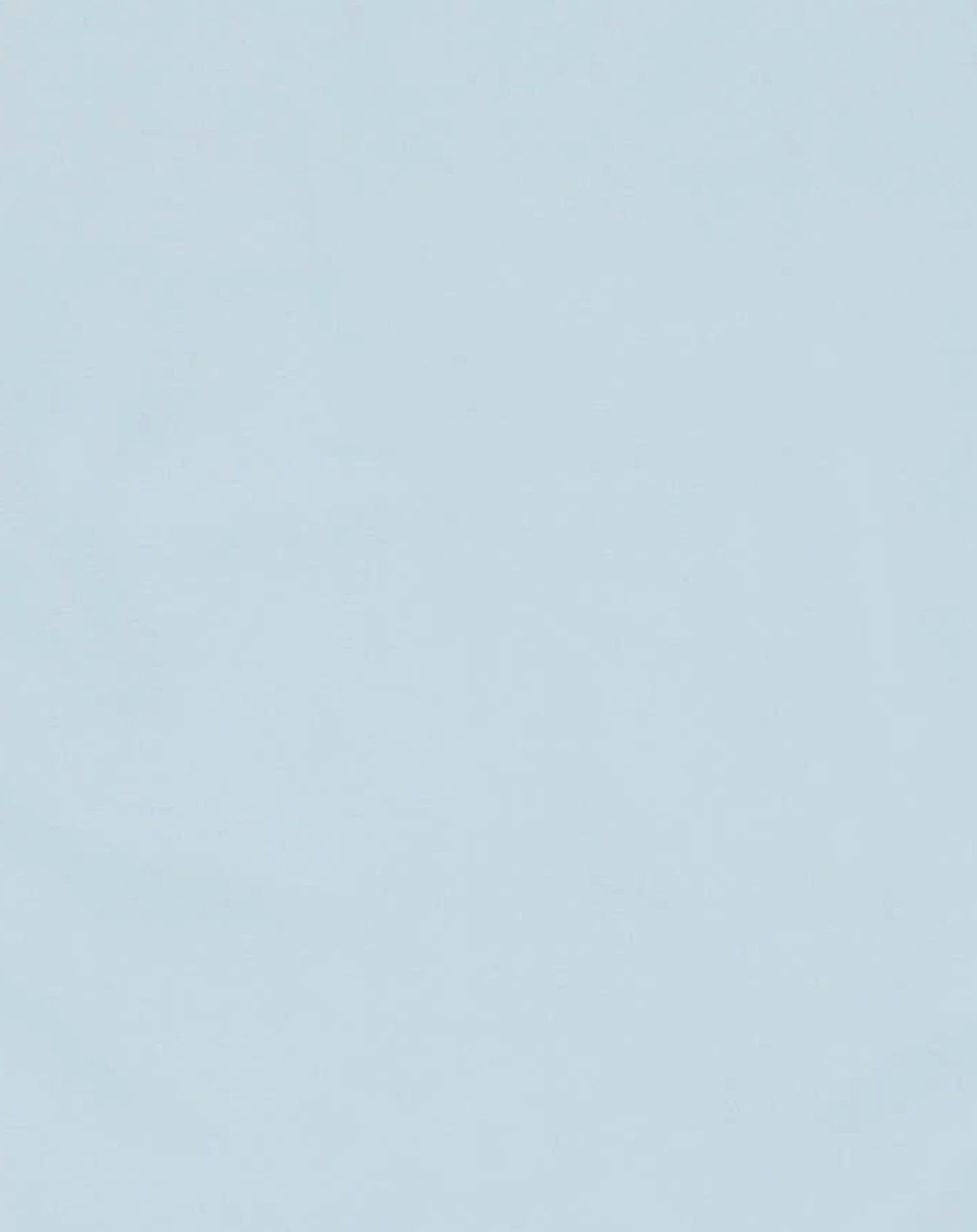 Langarm-Badeshirt LION in powder blue