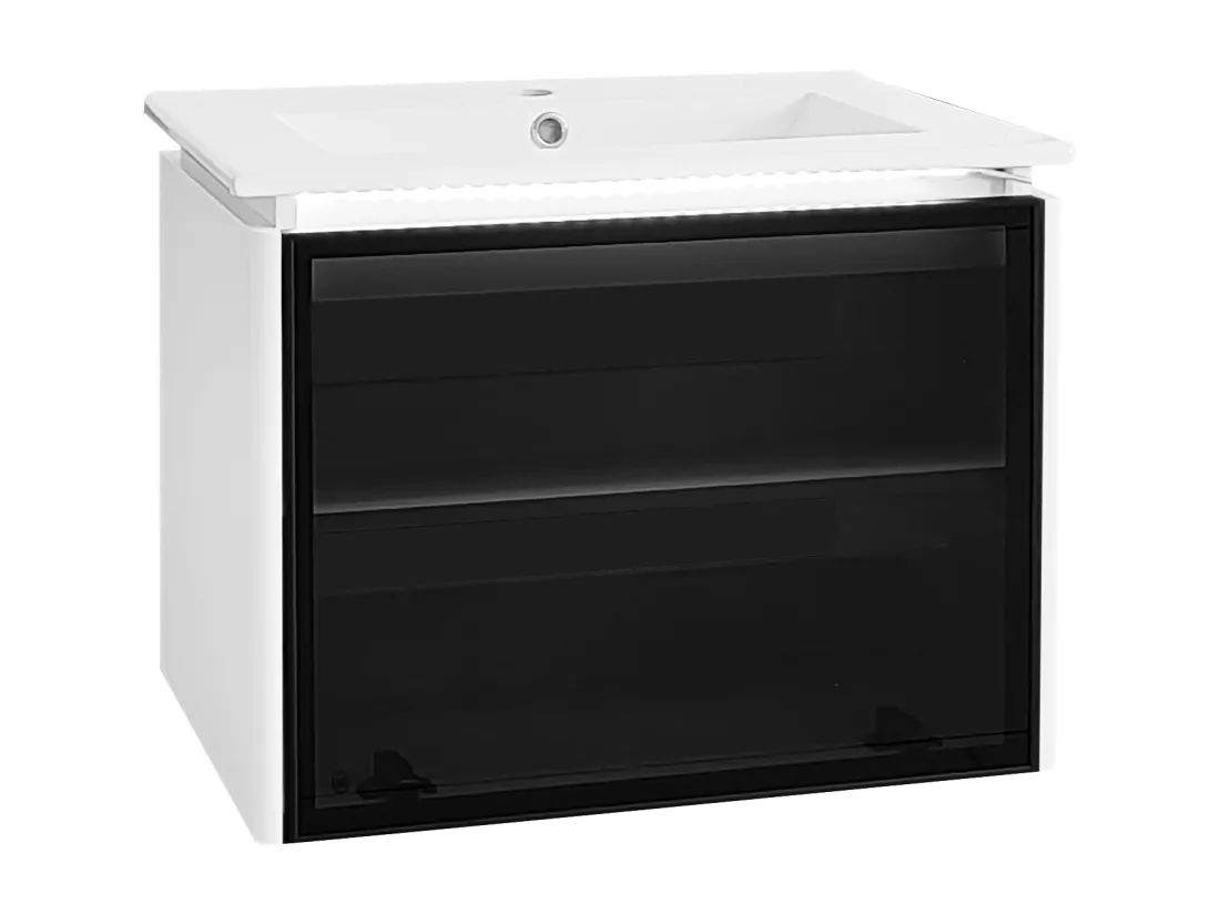 Meuble de salle de bain vasque simple avec porte en verre - 61.5 x 46.5 x 47 cm - Bois MDF - Lampe à induction - Blanc + noir