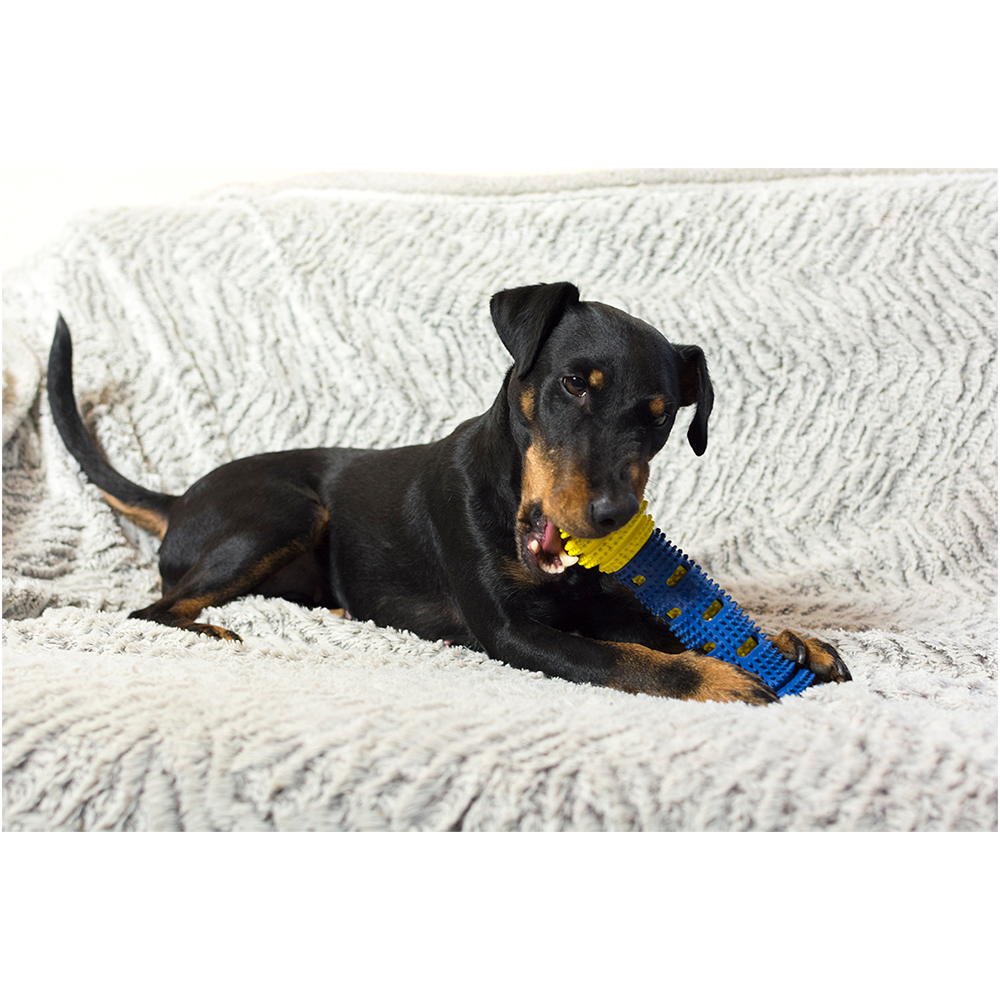Gummi Hunde Spielzeug Beiss Knochen Kauspielzeug Zahnpflege (VVASLCBLI0007) - Gelb / Blau