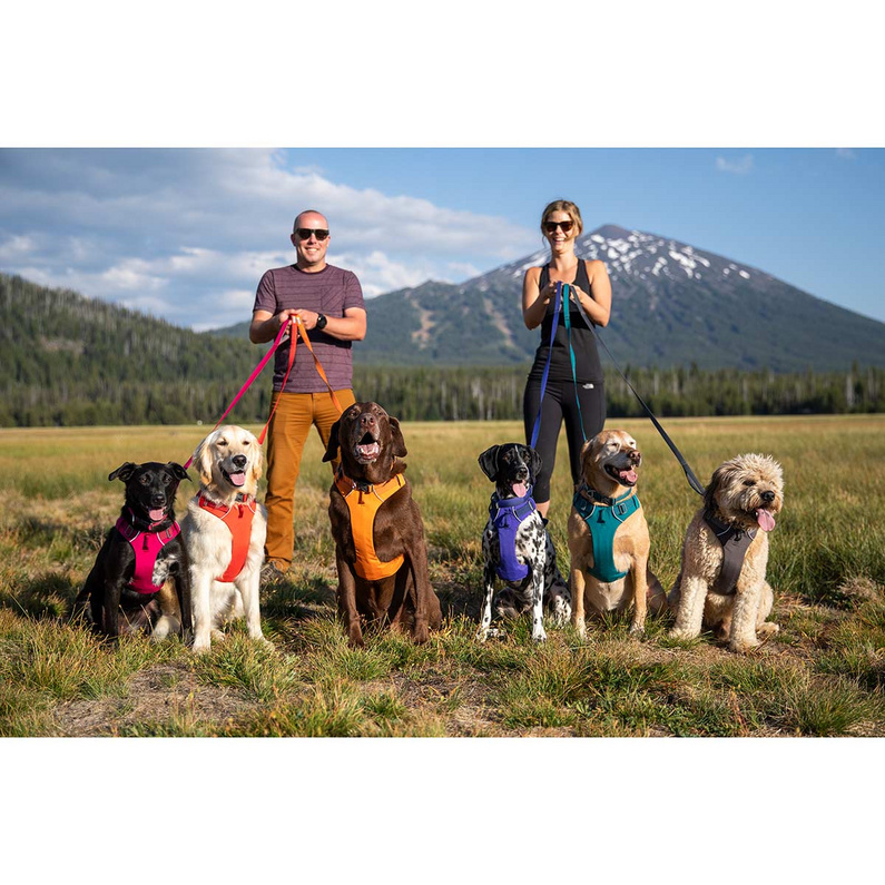 Ruffwear Front Range Harness Hundegeschirr