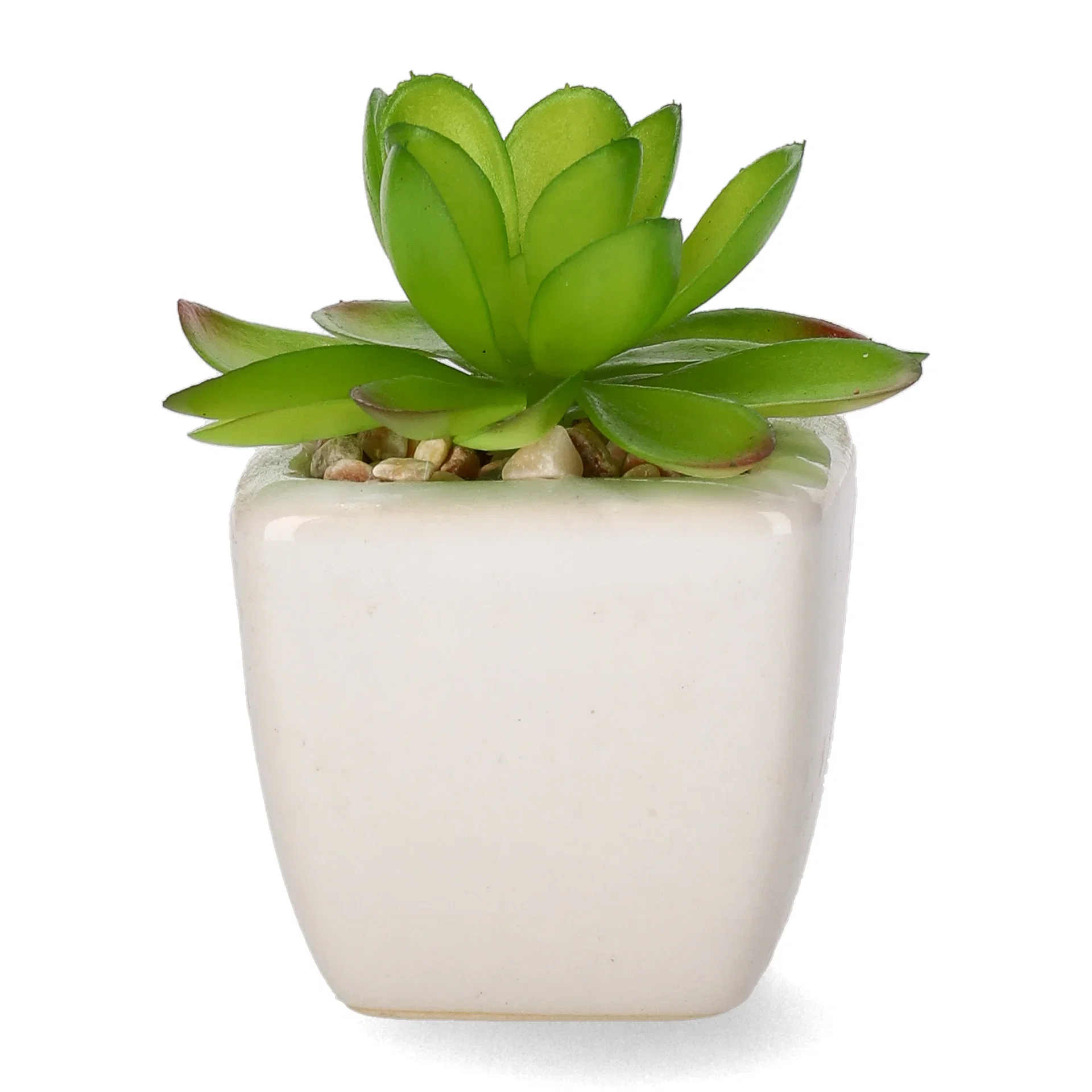 Kaktus mini kunstig Høyde 9 cm