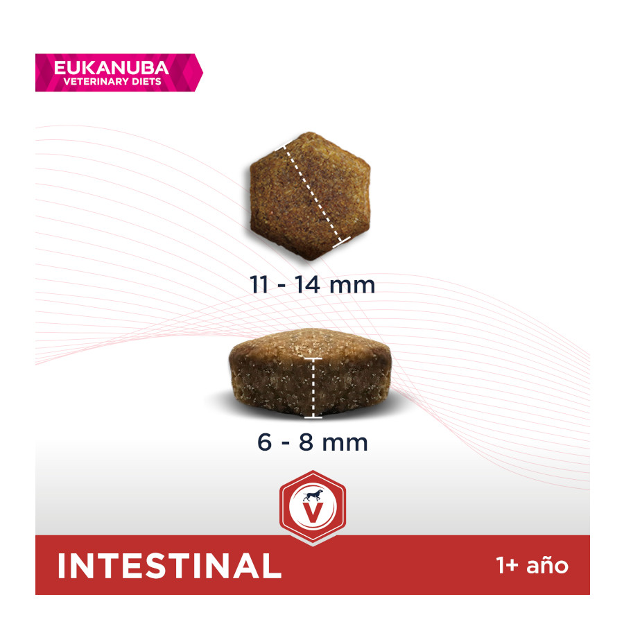 Ração Intestinal para Cães Eukanuba Veterinary Diets