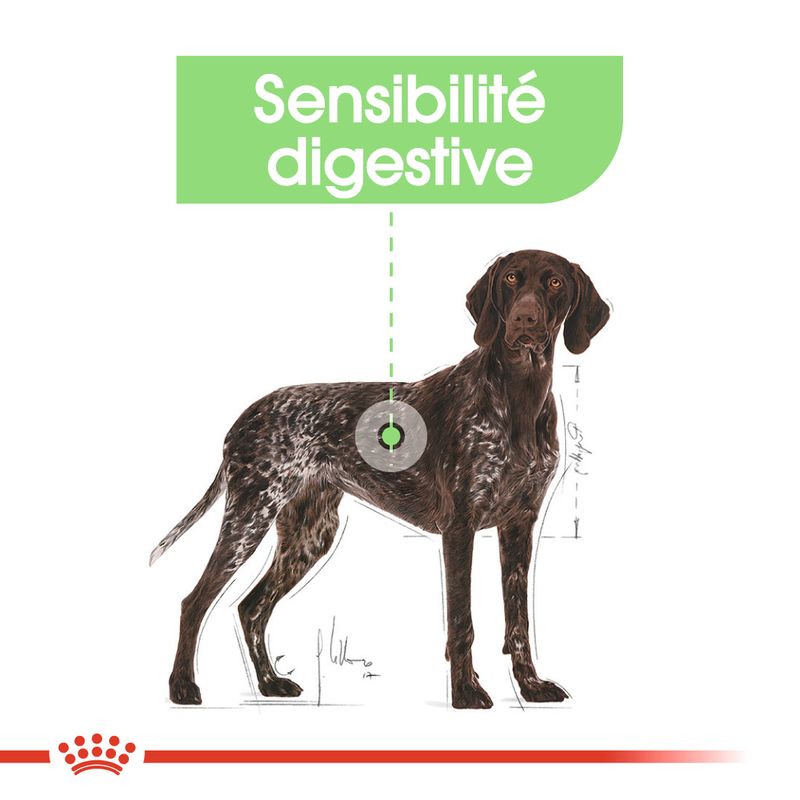 Royal Canin Maxi Digestive Care à prix discount sur bitiba.fr