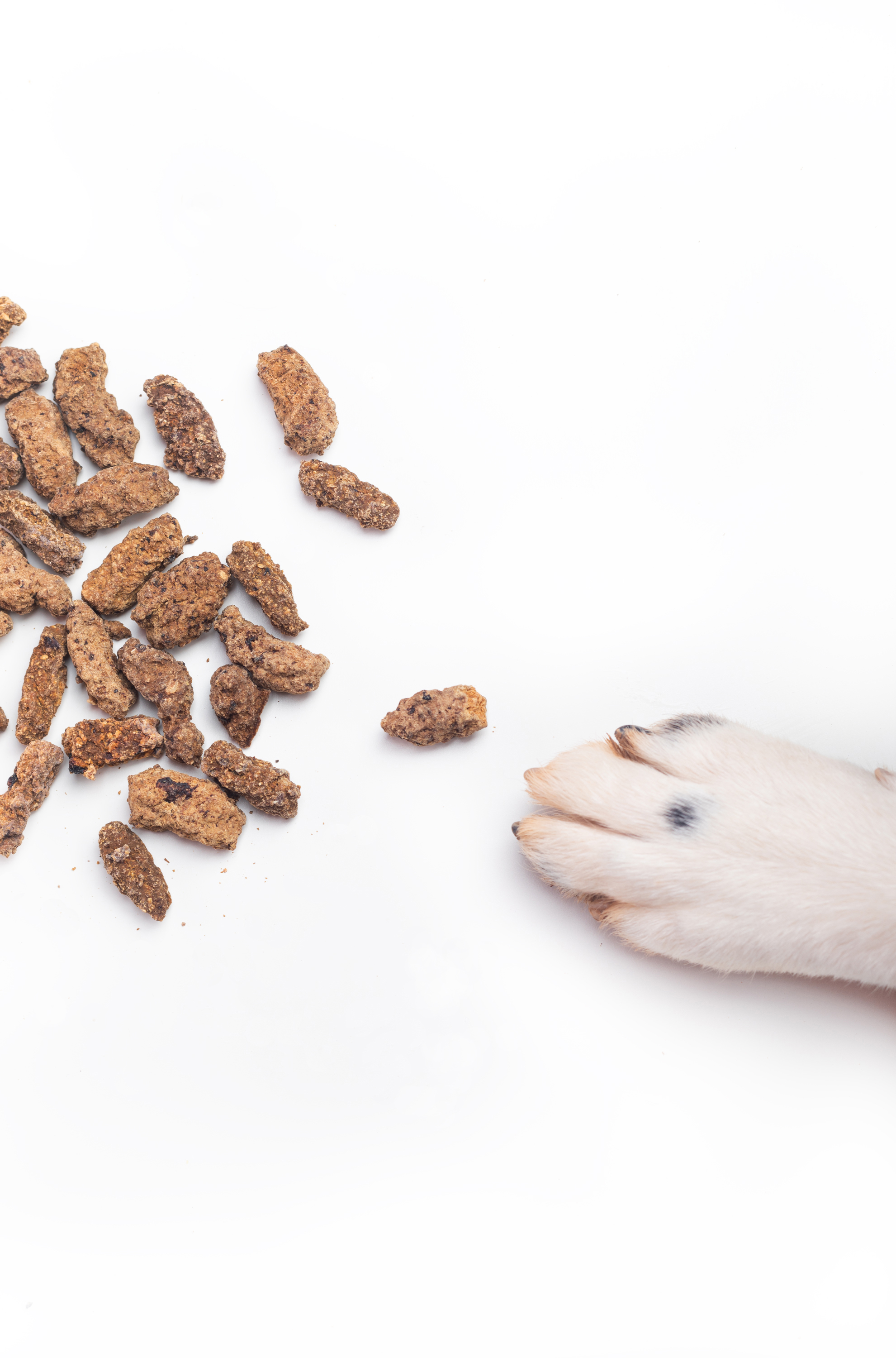 Petiscos de javali BIMORDISCOS para cães