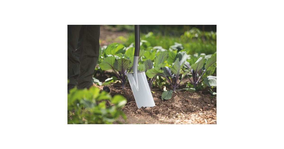 WOLF-GartenHerenspade AS-D  (Rood/grijs)