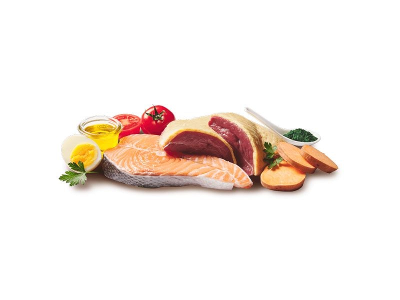 DOGGY Dog Nassfutter Dose Ente, Lachs Adult 200 g Alleinfuttermittel für ausgewachsene Hunde