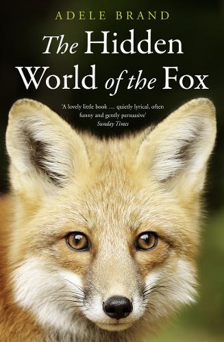The Hidden World of the Fox (Paperback)