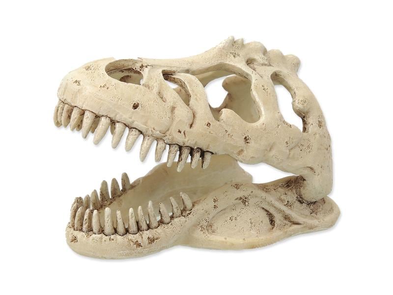 Repti Planet Dekoschädel T-Rex Künstliche Dekoration