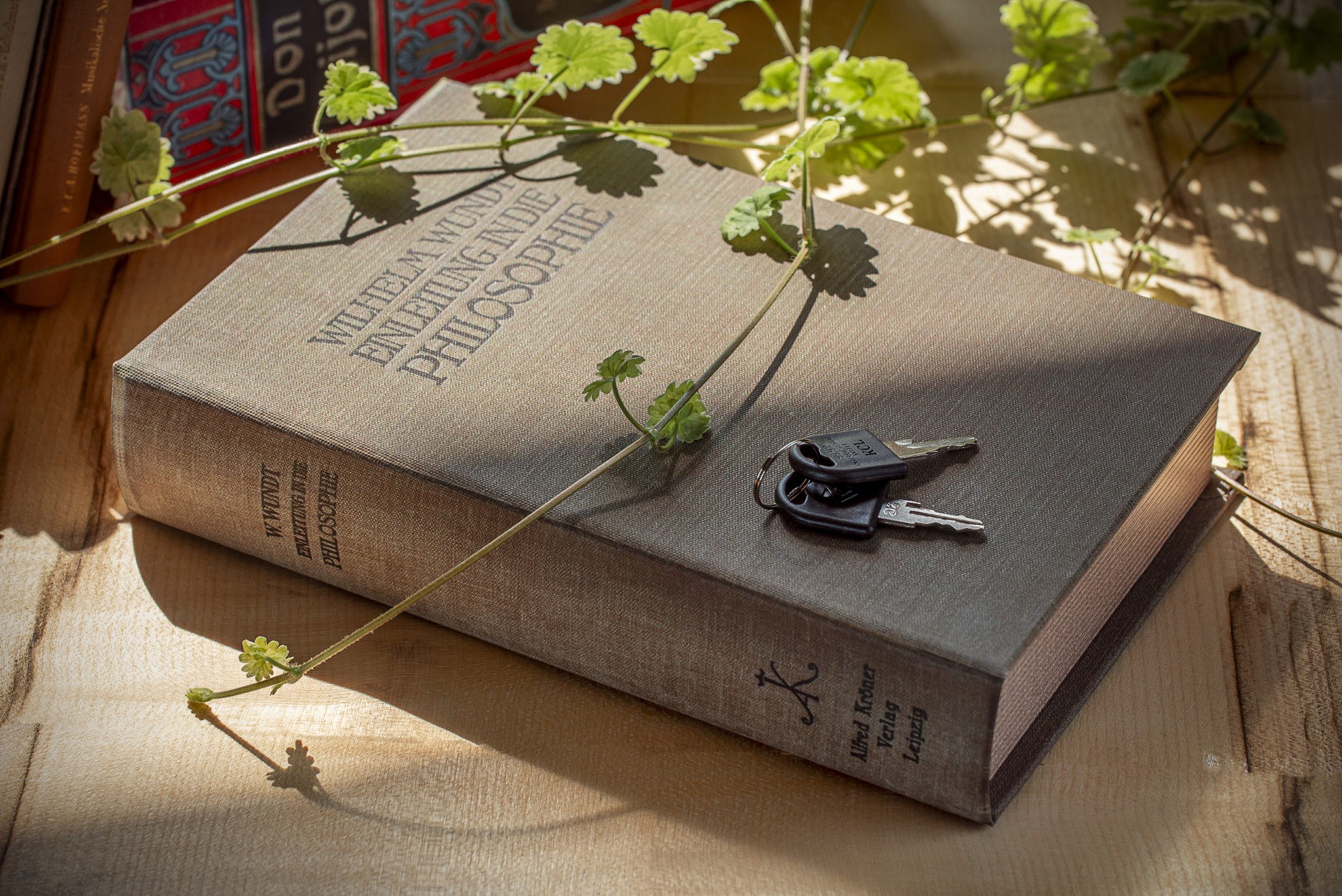 Buchhülle 'Einleitung in die Philosophie' mit Schließfach, T 5 cm, B 16 cm, H 24 cm von fischer's lagerhaus
