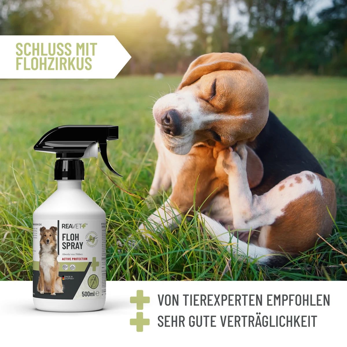 Floh Spray - ReaVET