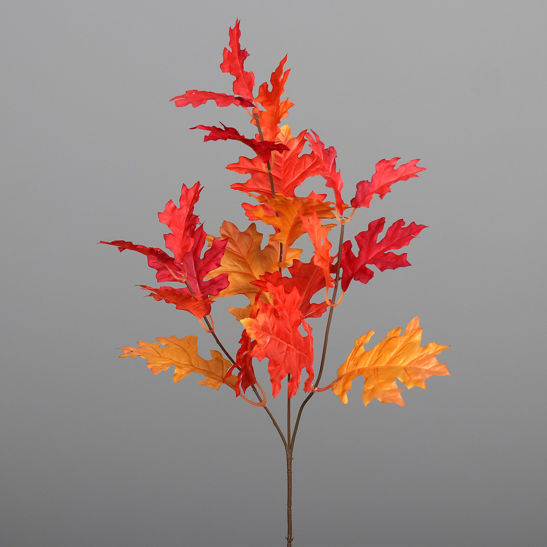 Eichelzweig - orange - 70 cm hoch
