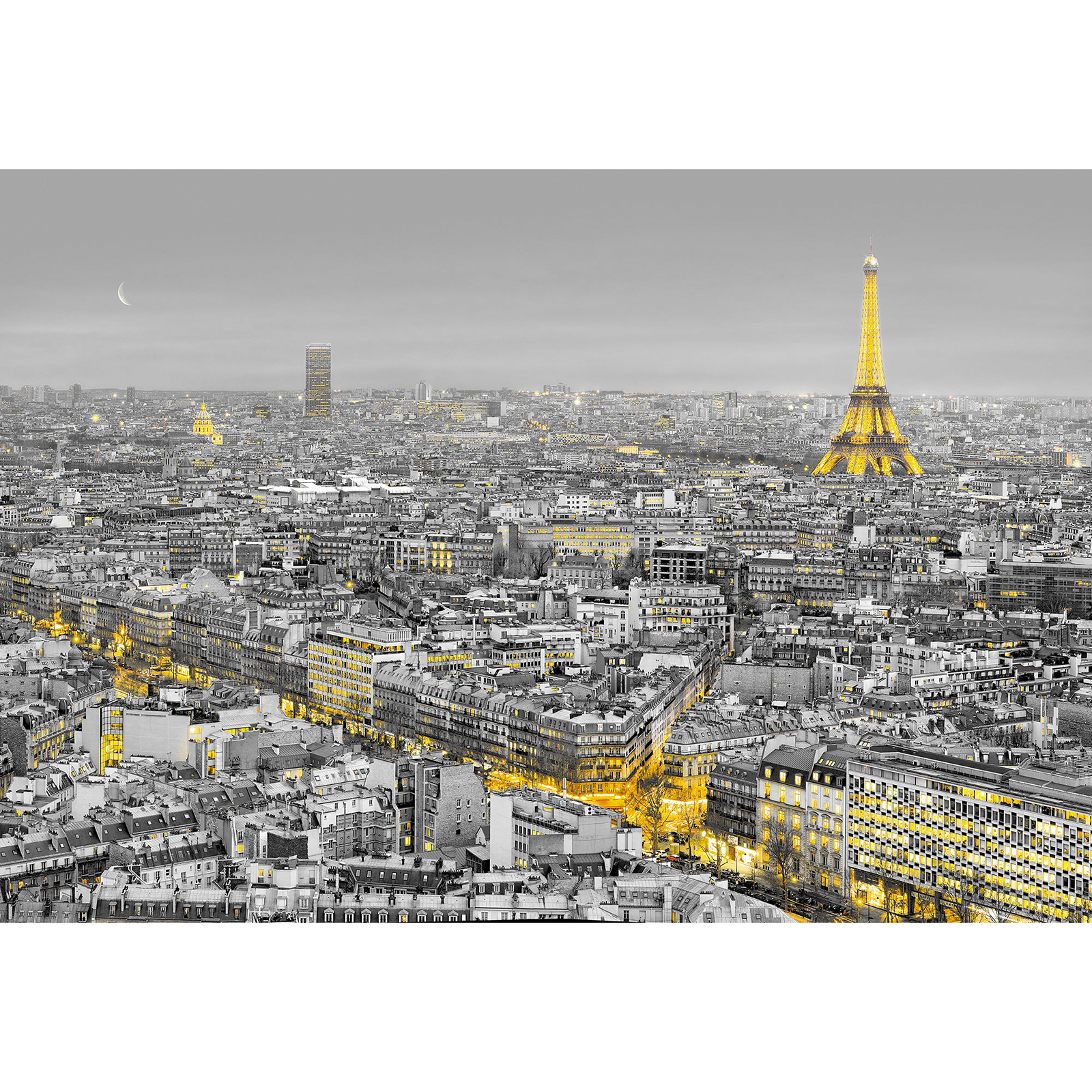 Papier-Fototapete PARIS LIGHTS - schwarz-weiß-gold - 368x254 cm