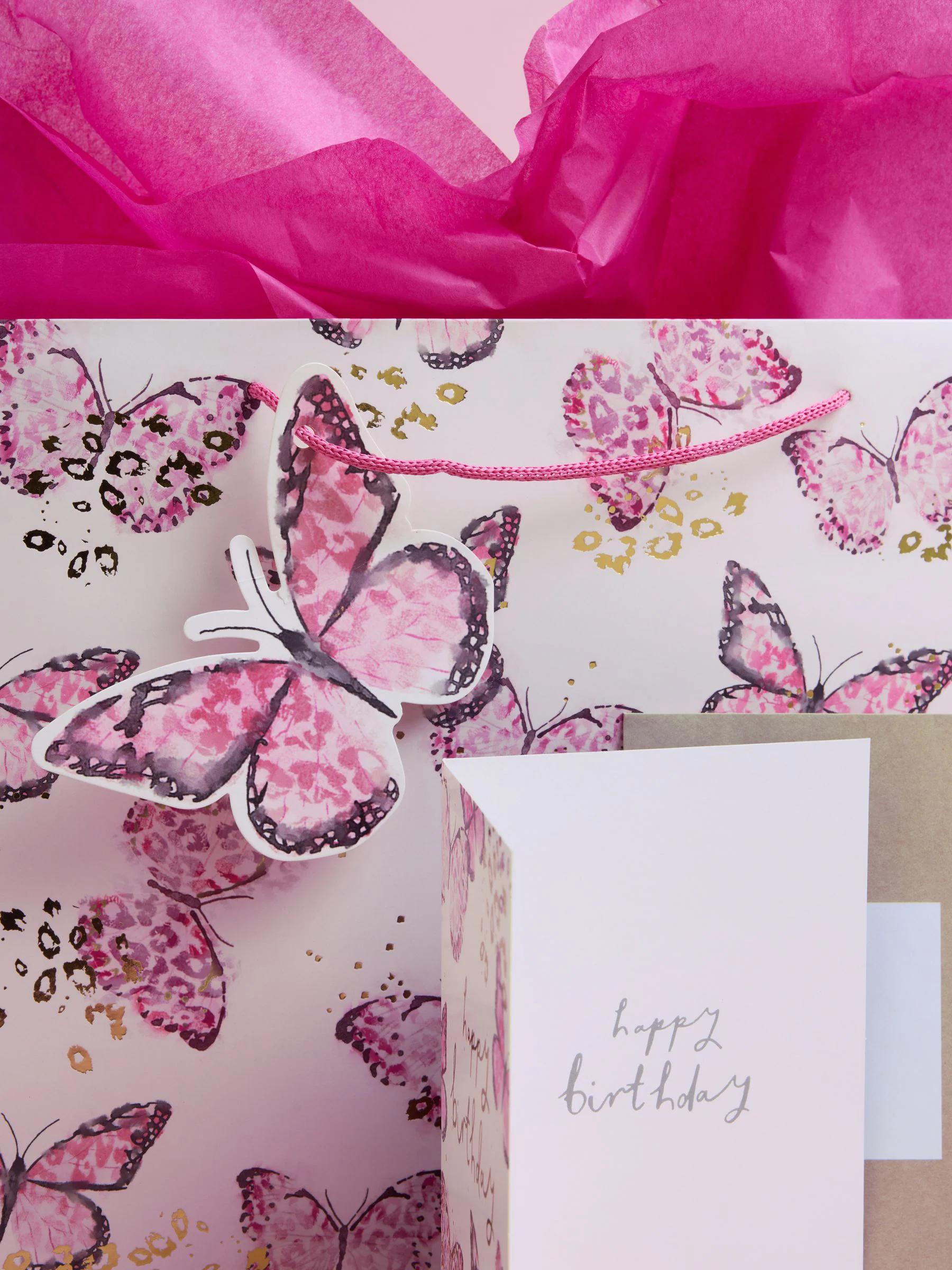 Large Butterfly Gift Bag and Card Set