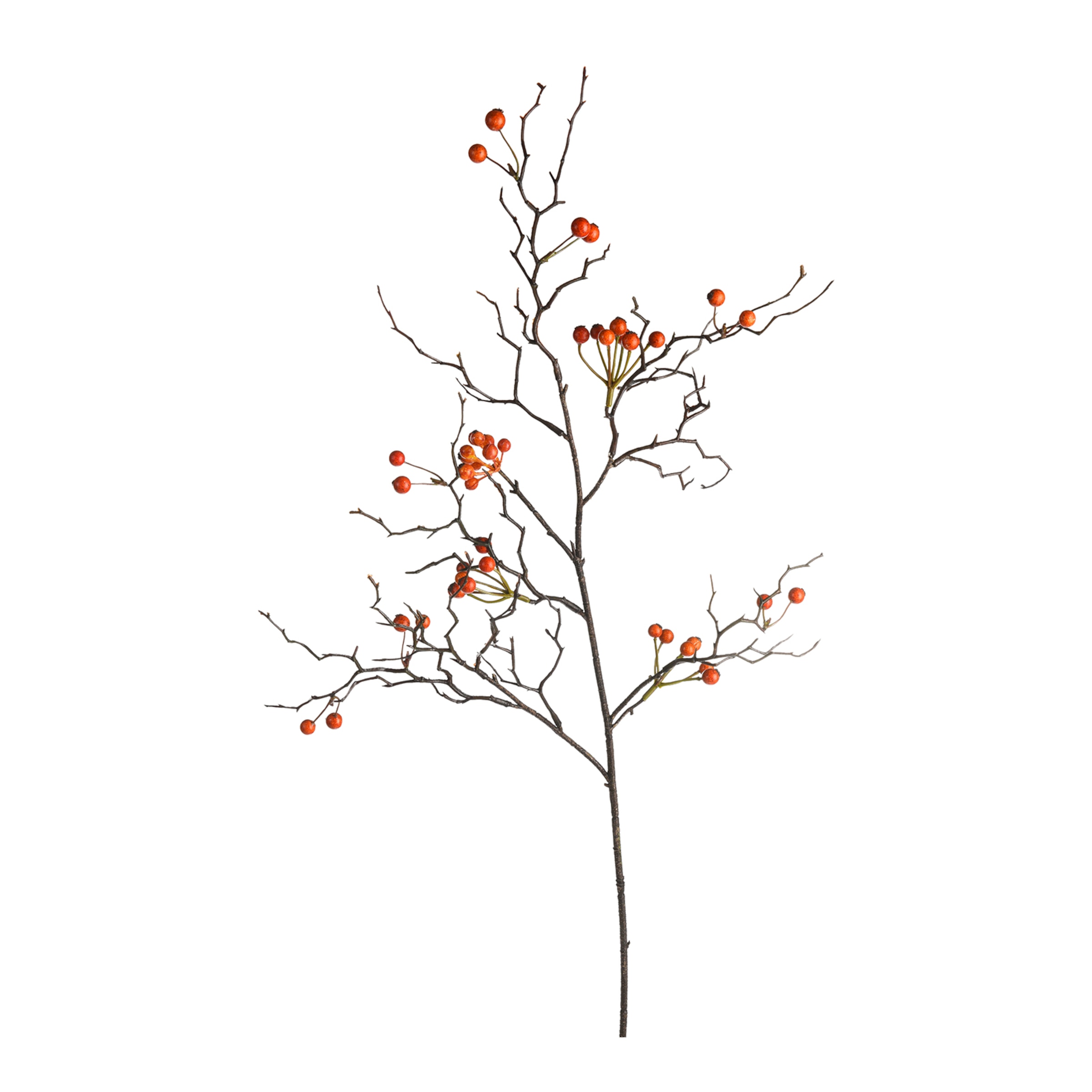 dunkelorange, L 77 cm