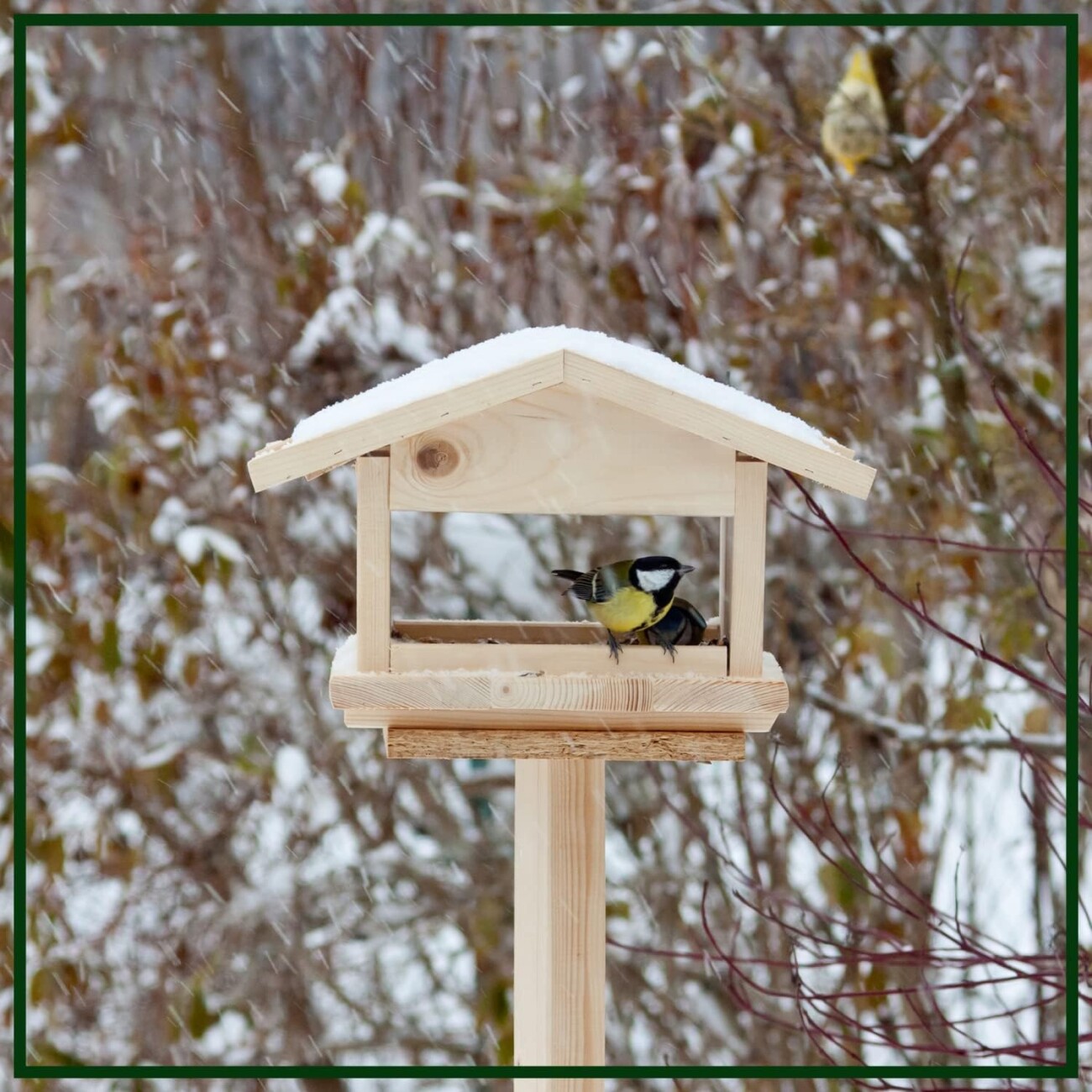 Supravit Winterfutter | Streufutter für Wildvögel 2,5 kg