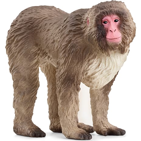 Schleich japansk makakabe 14871
