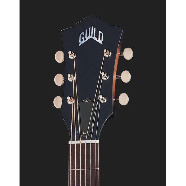Guild D-20 ATB USA