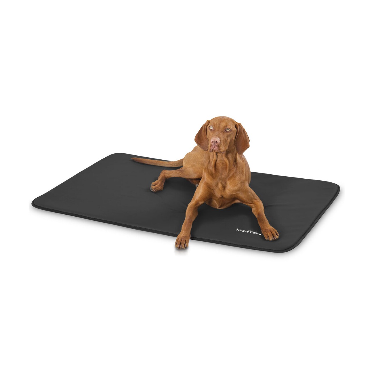 Knuffelwuff Kunstleder Hundematte Cheyenne schwarz L