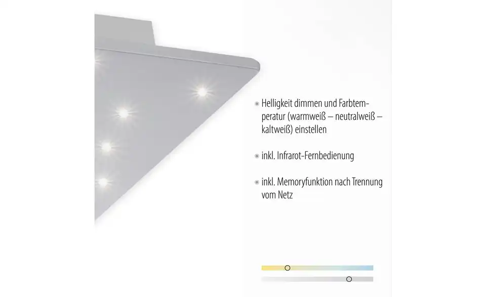 Paul Neuhaus LED Deckenleuchte