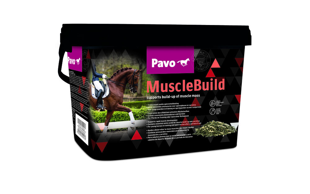 Pavo Musclebuild - Supplement - 3 Kilogram - Emmer