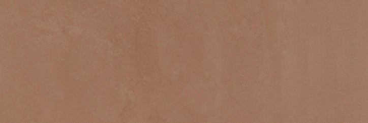 Carrelage mural marron Terre 25 x 75 cm