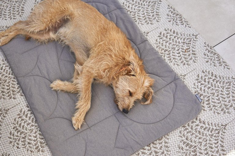 MiaCara Linea hondenplaid small anthracite