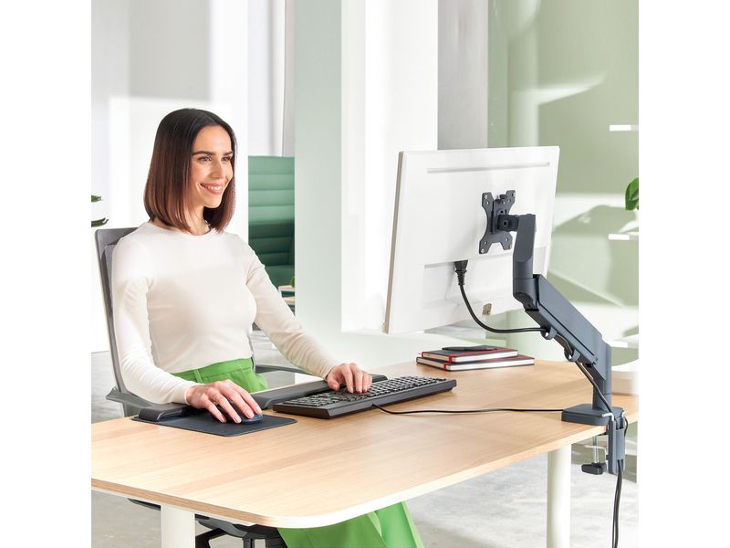 Leitz Ergo Single Monitorarm Single Monitorarm