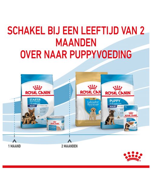Royal Canin Maxi Starter Mother & Babydog - Puppy-Hondenvoer - 4 kg