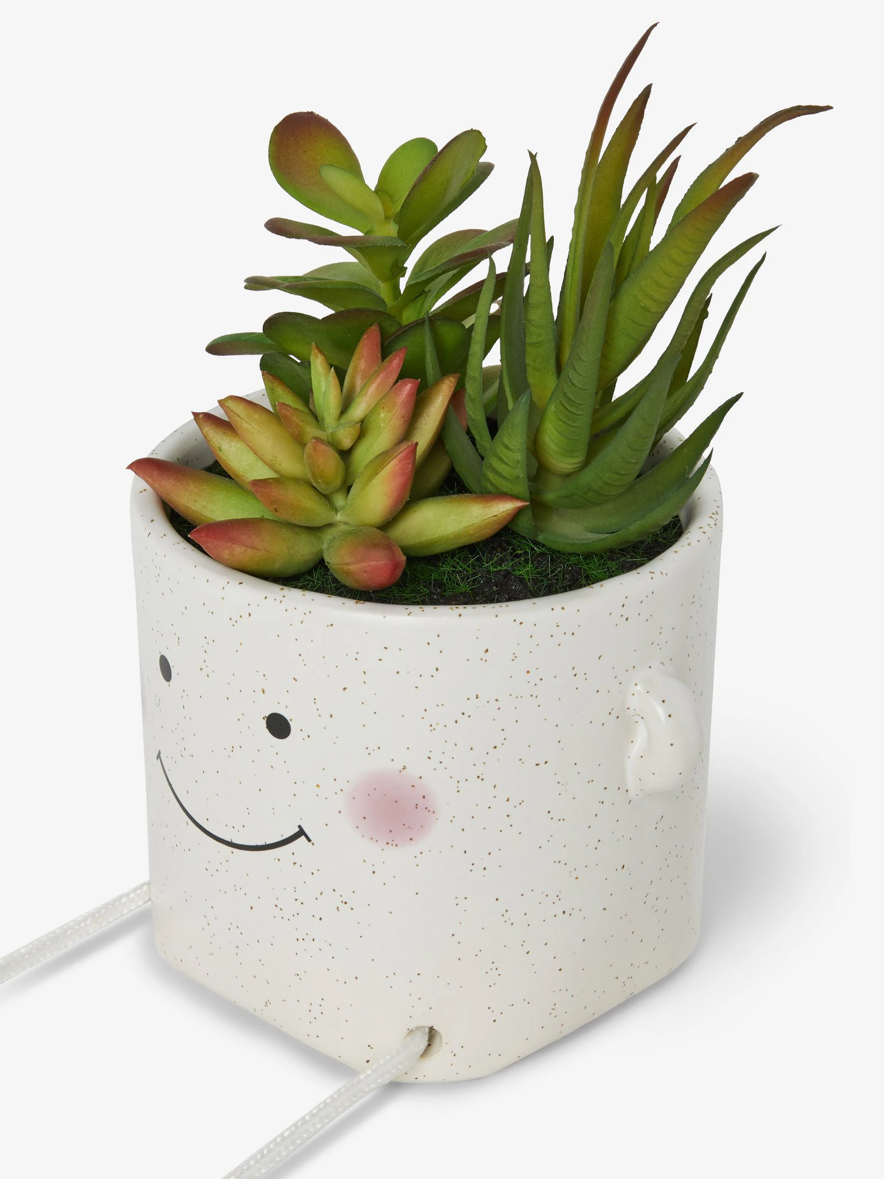 Artificial Succulents In Smiley Dangly Leg Ceramic Pot