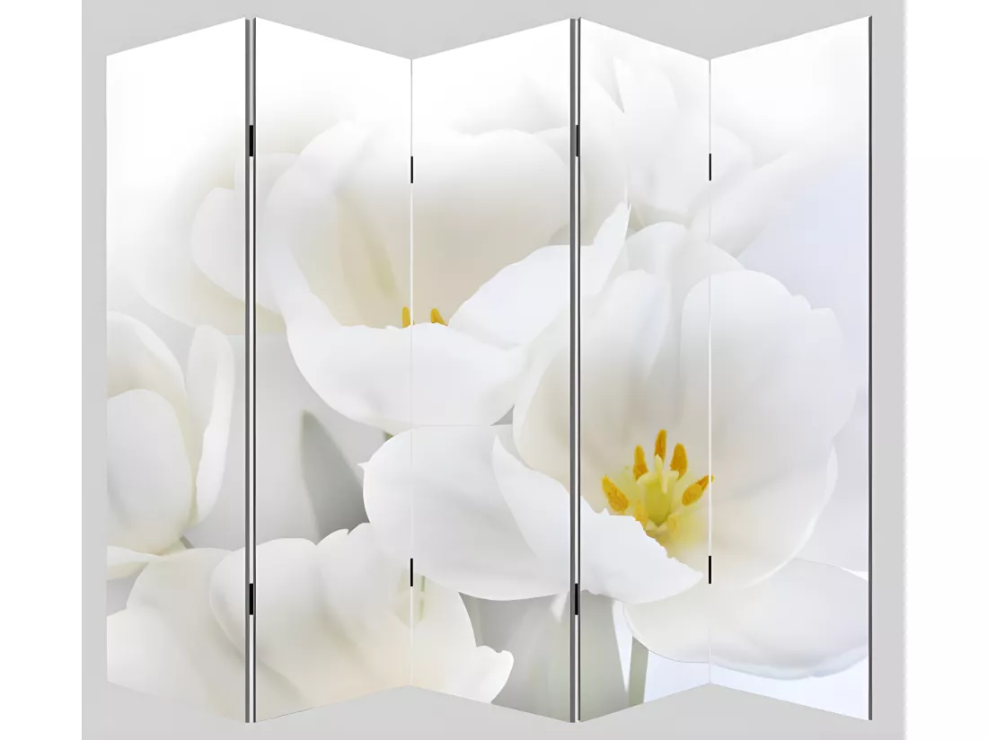 Paravent 5 panneaux pans 200 x 3 x 180 cm PAR04006